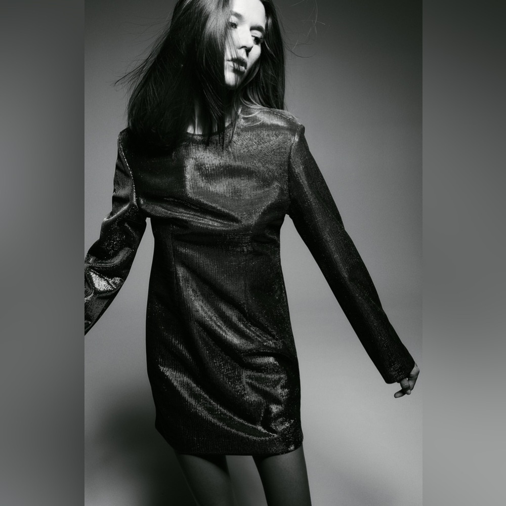 H&M Elegant Black/Silver-Colored Metallic Long Sleeve Lined Mini Dress - Picture 3 of 16